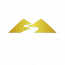 VDO Business Services, LLC. logo